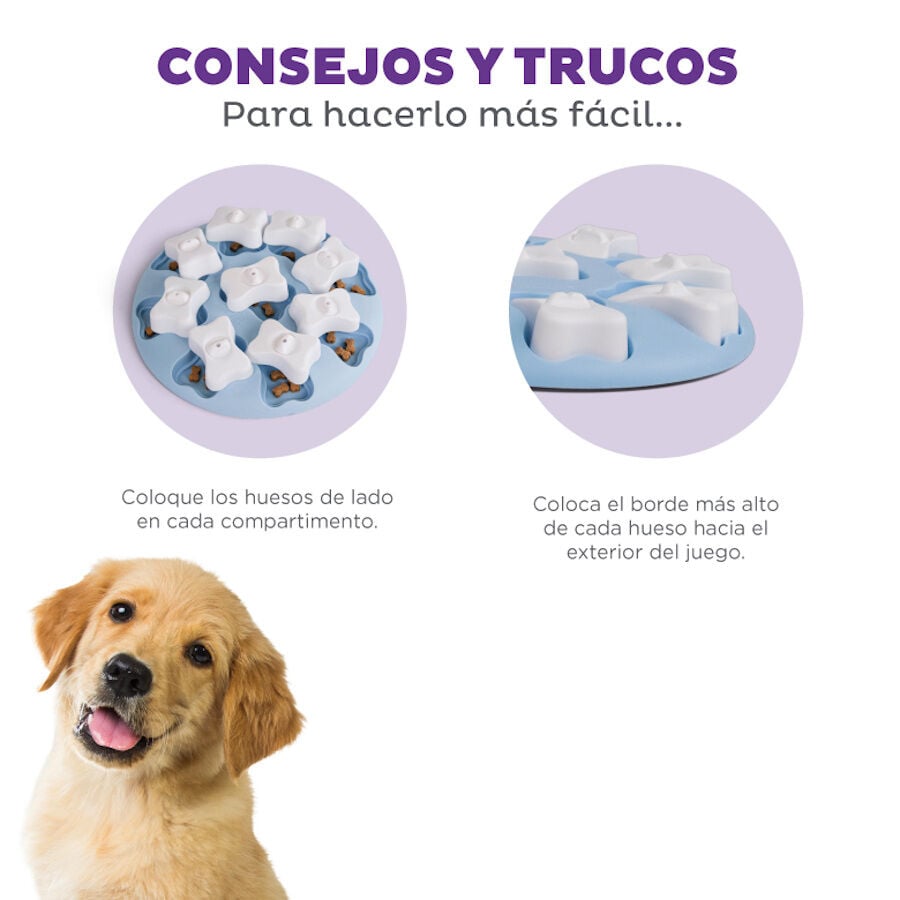 Outward Hound Nina Ottosson Puppy Smart Rompecabezas para cachorros, , large image number null