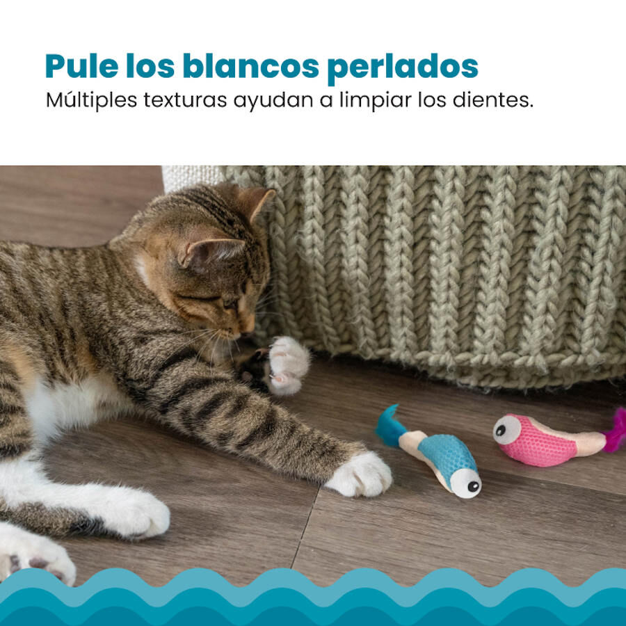 Outward Hound Catstages Dental Shrimpies Peluches con Plumas para gatos, , large image number null