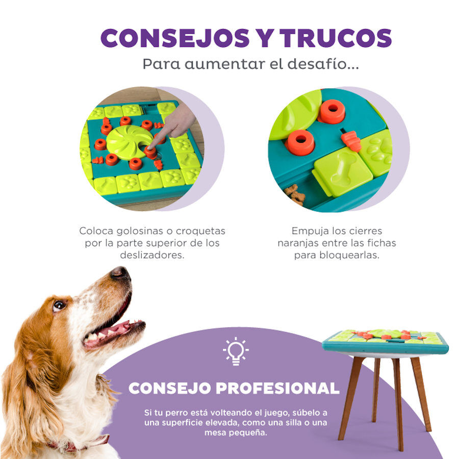 Outward Hound Nina Ottosson Multi Puzzle de Inteligencia para perros, , large image number null