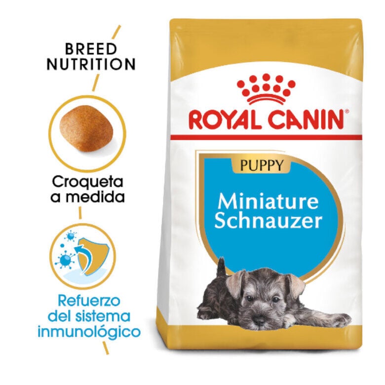 Royal Canin Puppy Miniature Schnauzer pienso para perros, , large image number null