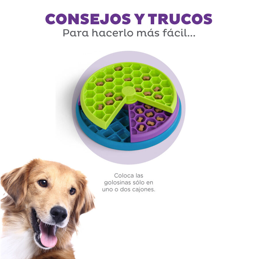 Outward Hound Nina Ottosson Lickin' Layers Juguete Interactivo con Chuches para perros, , large image number null