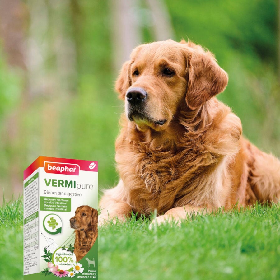 Beaphar Vermipure Repelente Interno Natural en comprimidos para perros medianos y grandes, , large image number null