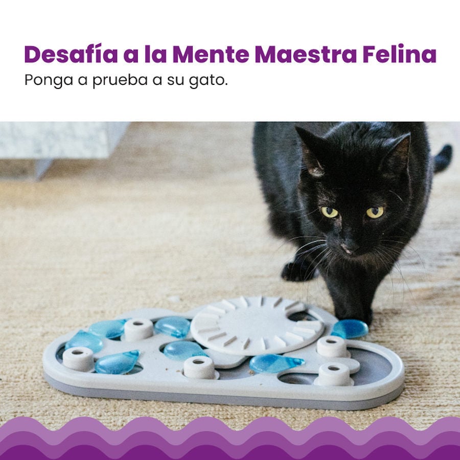 Outward Hound Catstages Puzzle & Play Rainy Day Juguete de Inteligencia para gatos, , large image number null