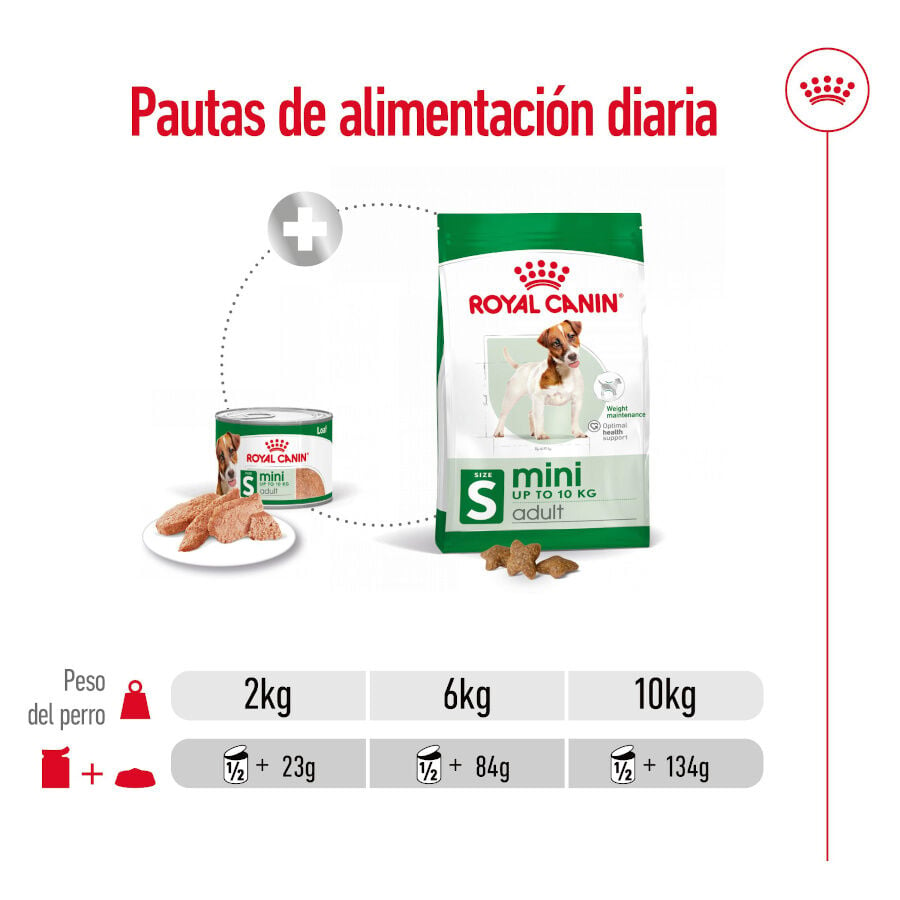 Royal Canin Mini Adult Paté lata para perros, , large image number null