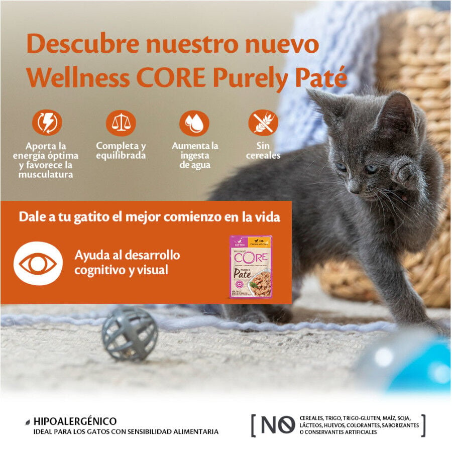 Wellness Core Kitten Pollo en Paté sobre para gatitos, , large image number null