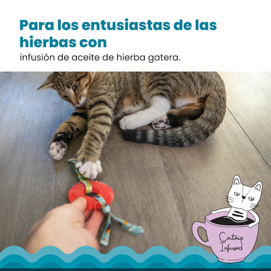 Outward Hound Catstages Kitty Chew Roja Rueda Mordedor para gatos, , large image number null