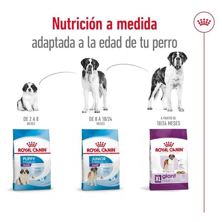 Royal Canin Giant Adult pienso para perros, , large image number null