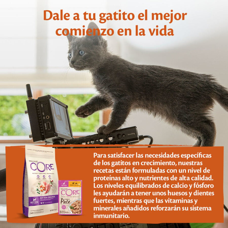 Wellness Core Kitten Pollo en Paté sobre para gatitos, , large image number null