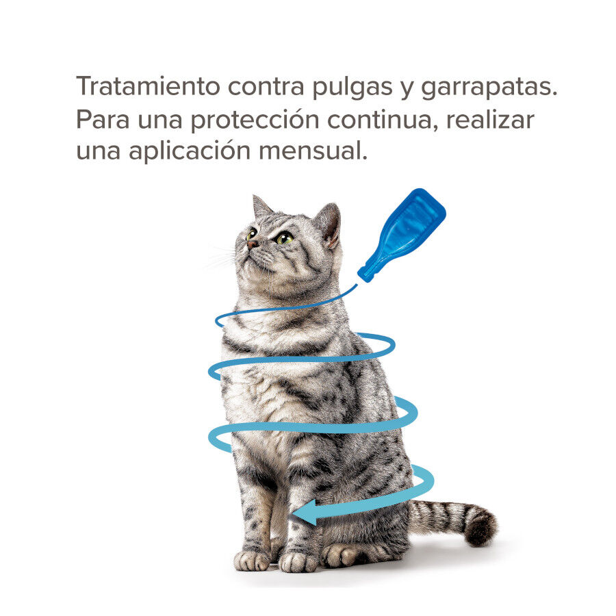 Ahuyentador electrónico contra pulgas y garrapatas para gatos — ICA S.A.