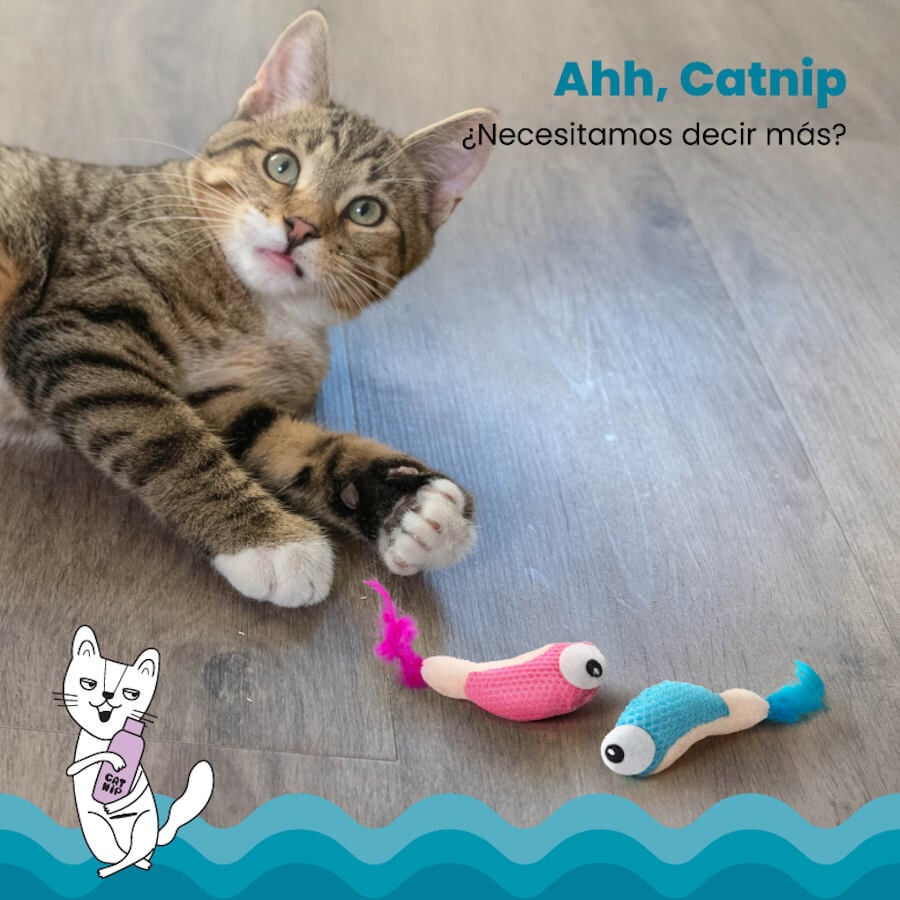 Outward Hound Catstages Dental Shrimpies Peluches con Plumas para gatos, , large image number null