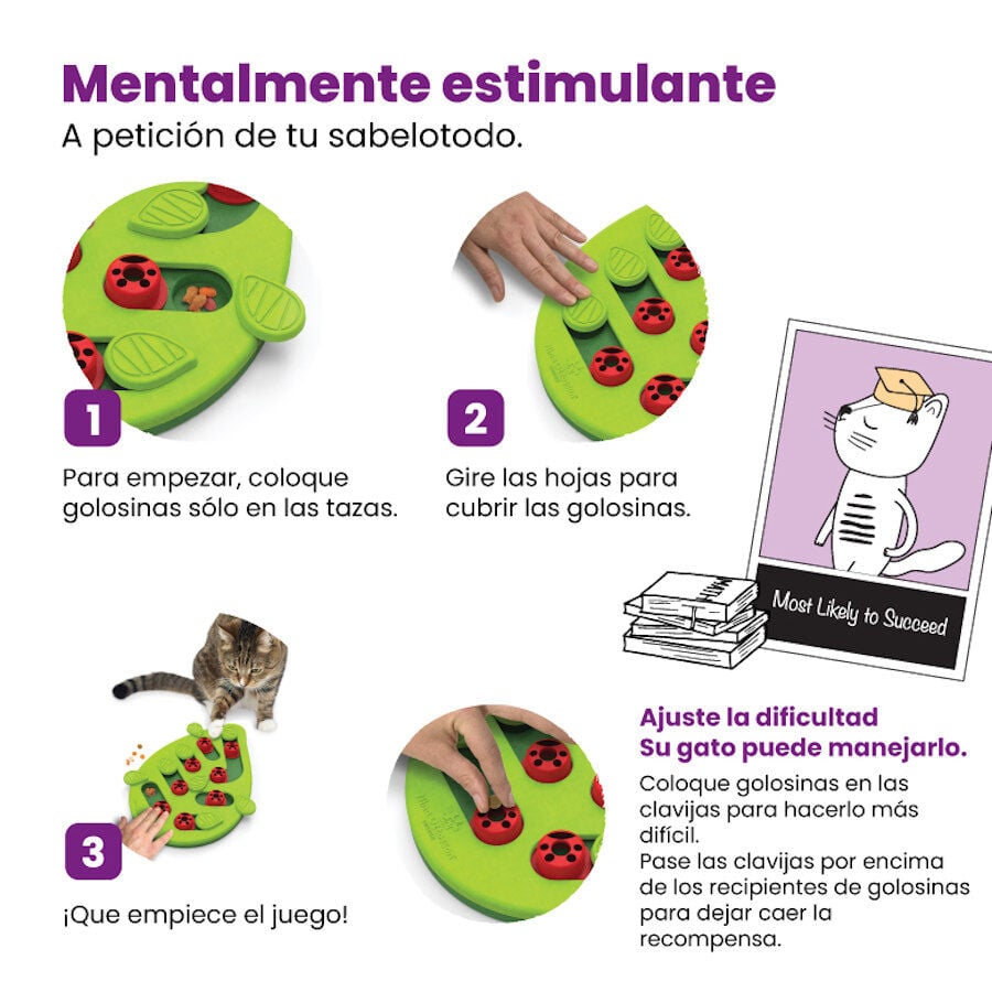 Outward Hound Catstages Puzzle & Play Buggin’ Out Juguete de Inteligencia para gatos, , large image number null