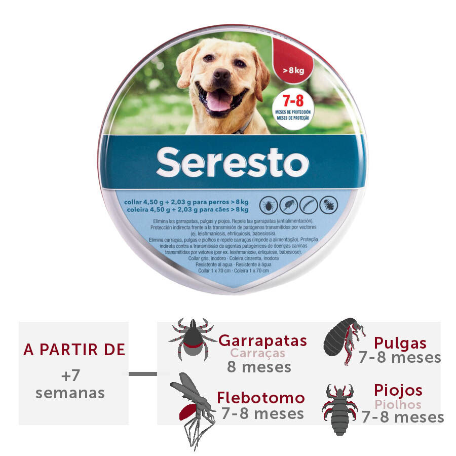 Taste of The Wild Comida Húmeda para Perros Stream Salmón PESO 390 gr