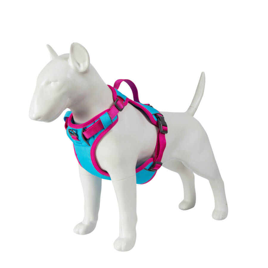 Freedog Cool Pro Tech Fucsia Arnés Refrescante Deportivo para perros, , large image number null