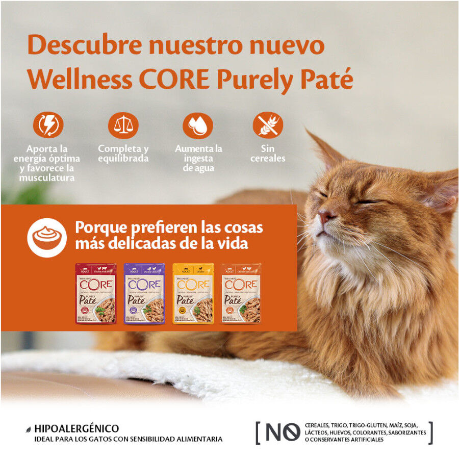Wellness Core Adult Pollo y Pavo en Paté sobre para gatos, , large image number null