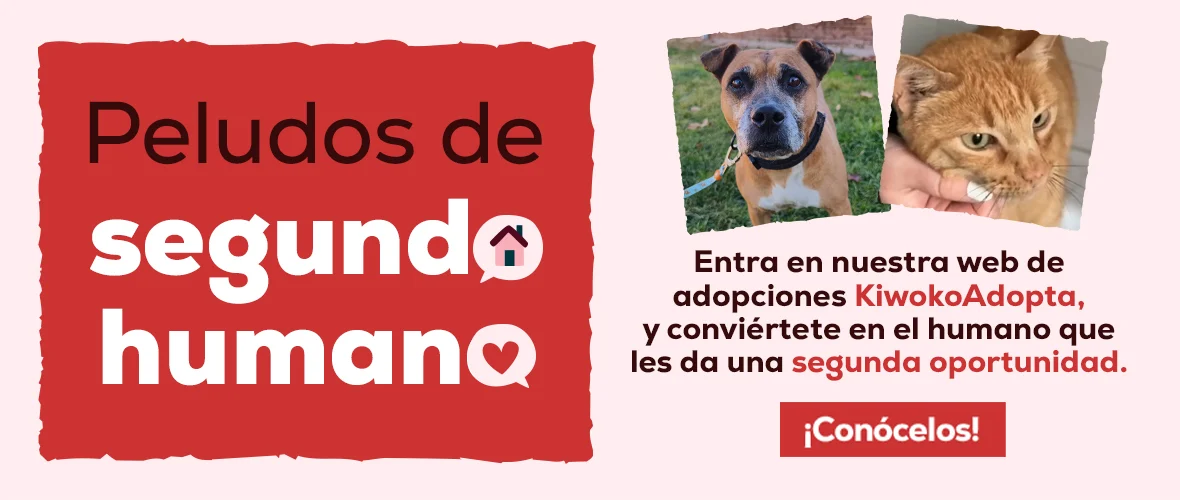 Adopta