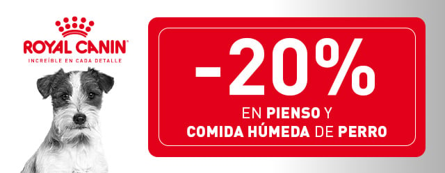 Royal Canin: Hasta -20% en pienso para perro 