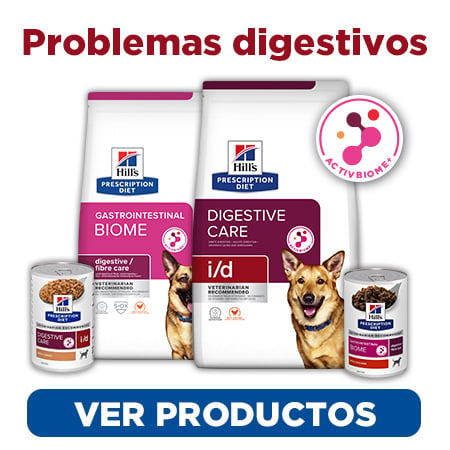 Alimentación para mejorar la digestión y resolver los trastornos digestivos de tu perro
