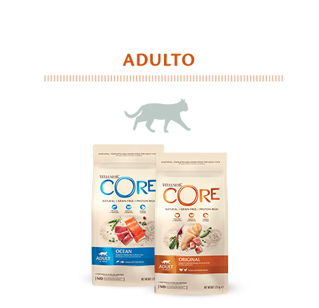 Alimento para gato adulto de la marca Wellness Core