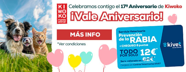 Celebramos contigo el 17º Aniversario de Kiwoko ¡Vale Aniversario!