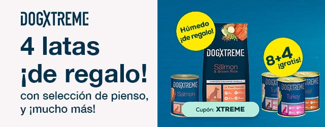 Dogxtreme: 4 latas de húmedo de regalo con selección de pienso 3 kg y 8 + 4 gratis en selección de packs de húmedo 12 x 400 g.