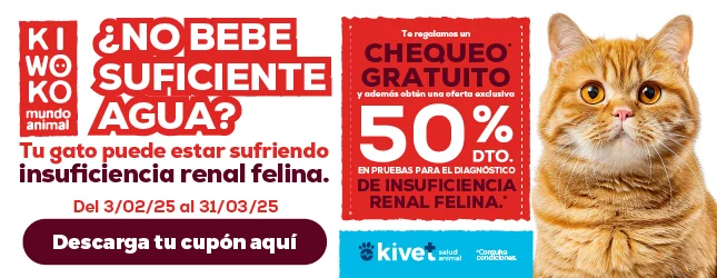 Insuficiencia renal felina