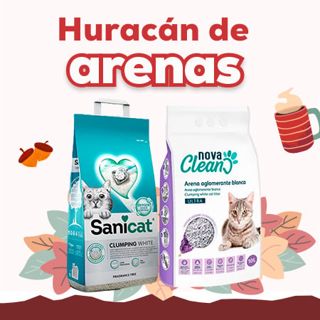 Huracán de arenas: descubre las mejores ofertas en arenas y areneros para gato