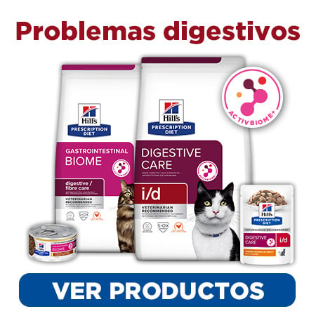 Alimentación para mejorar la digestión y resolver los trastornos digestivos de tu gato