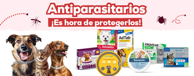 Antiparasitarios Perro y Gato: Es hora de protegerlos de las pulgas, garrapatas, flébotomos...