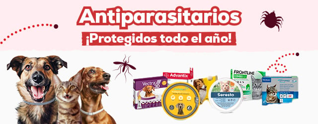 Antiparasitarios Perro y Gato: Es hora de protegerlos de las pulgas, garrapatas, flébotomos...th