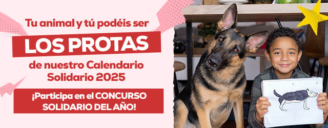 Tu animal y tú podéis ser los protas de nuestros calendarios solidarios 2025. ¡Participa en el concurso solidario del año!