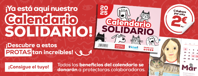 Calendario Solidario