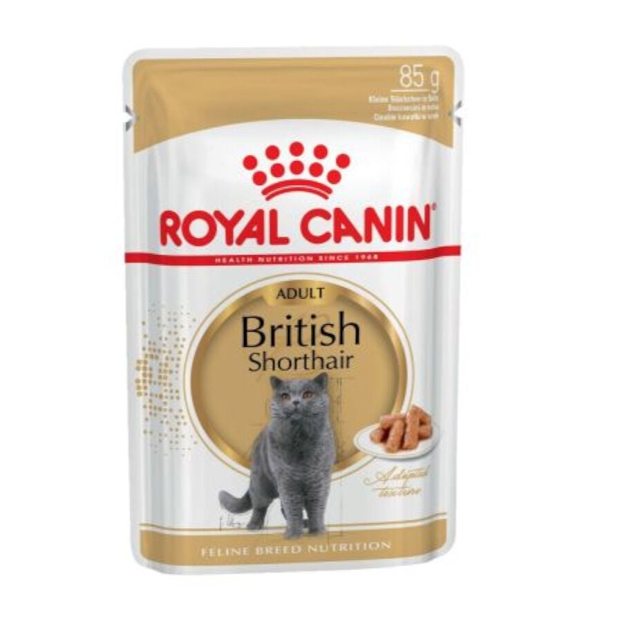 24 sobres x 85 g Royal Canin Sobre en Salsa British Shorthair Adult ¡Pack ahorro!