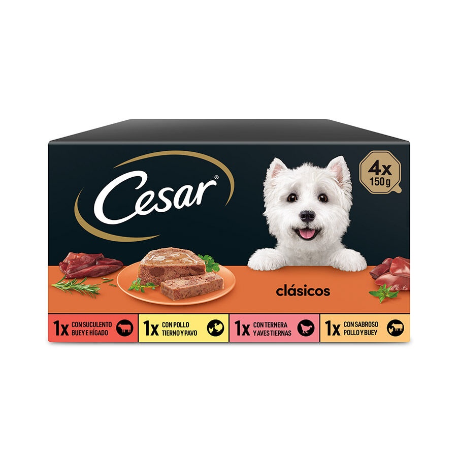 48 tarrinas x 150 g Cesar Selección Clasicos Tarrina en Paté para Perros ¡Pack ahorro!