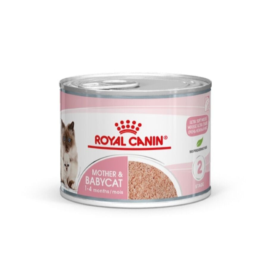 12 latas x 195 g Royal Canin Mother & Baby mousse latas para gatos ¡Pack ahorro!