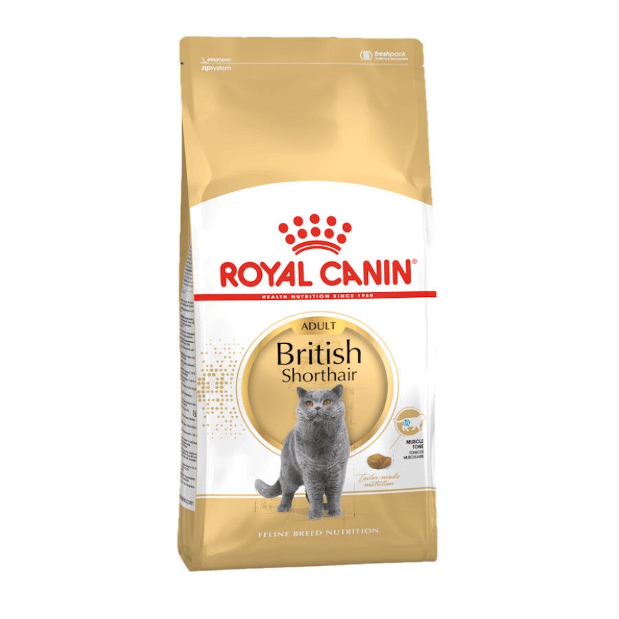 10 kg Royal Canin Adult British Shorthair pienso para gatos