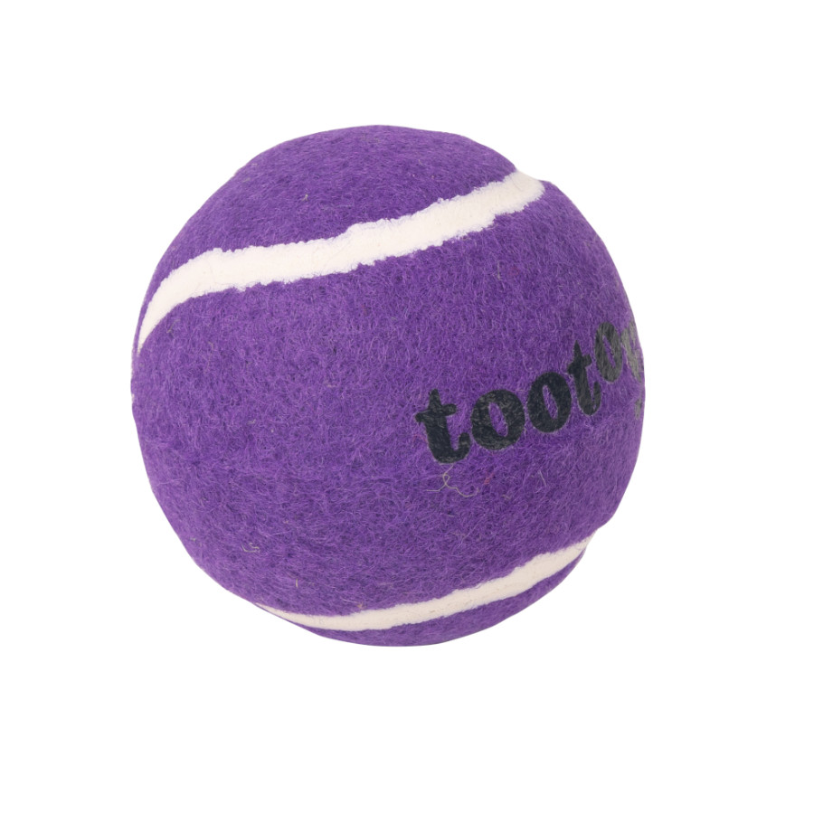 Tootoy! Chase Squeaker Ball Morada pelota de tenis para perros