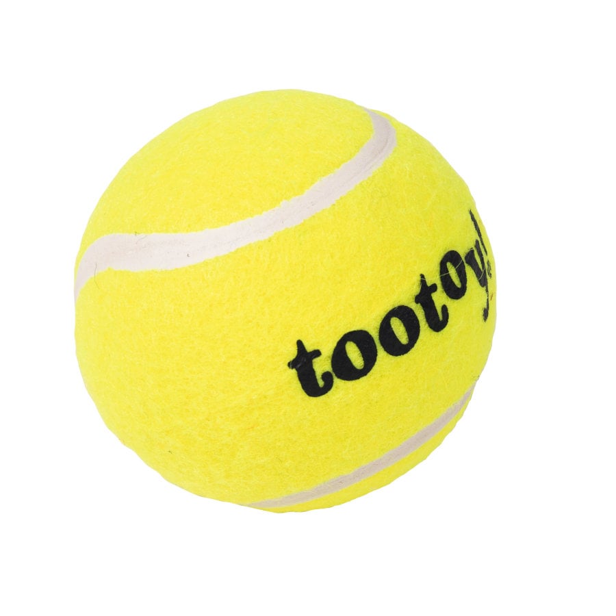 Tootoy! Chase Squeaker Ball pelota de tenis para perros