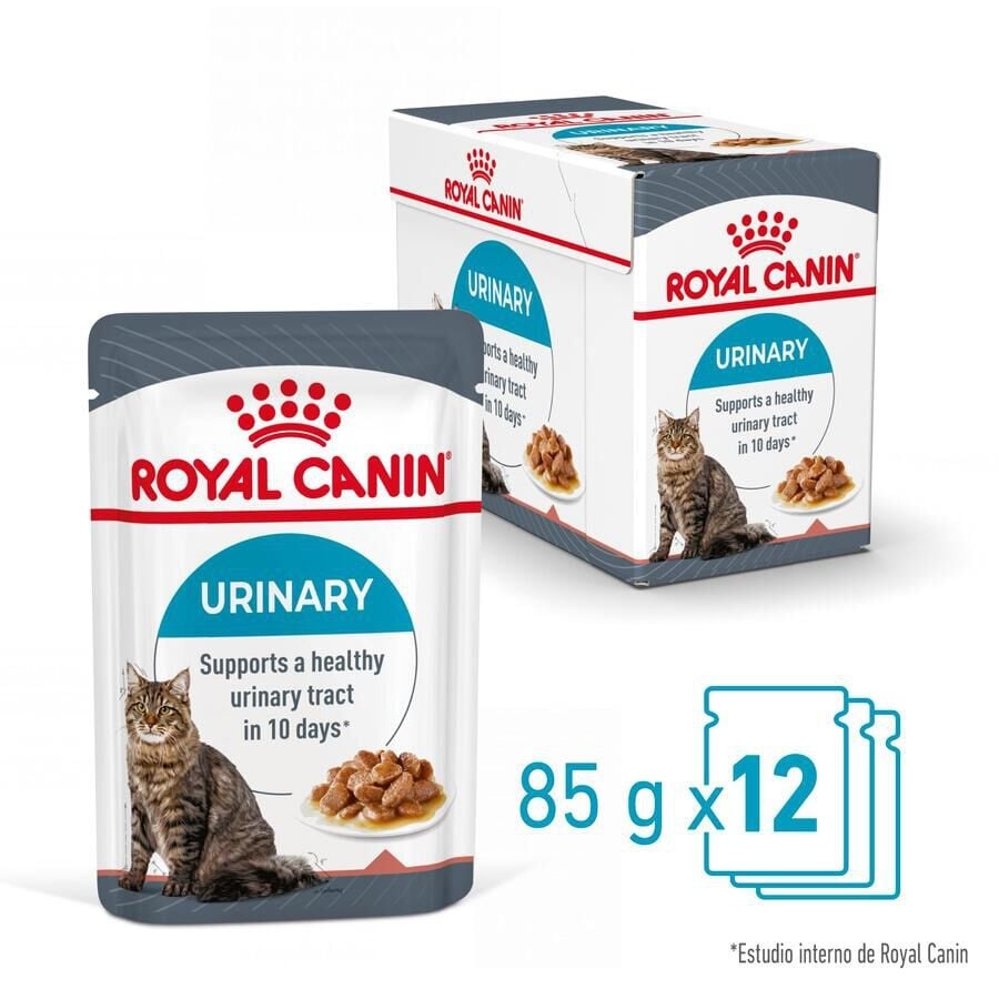 12 sobres x 85 g Royal Canin Urinary Sobre en Salsa para gatos ¡Pack ahorro!