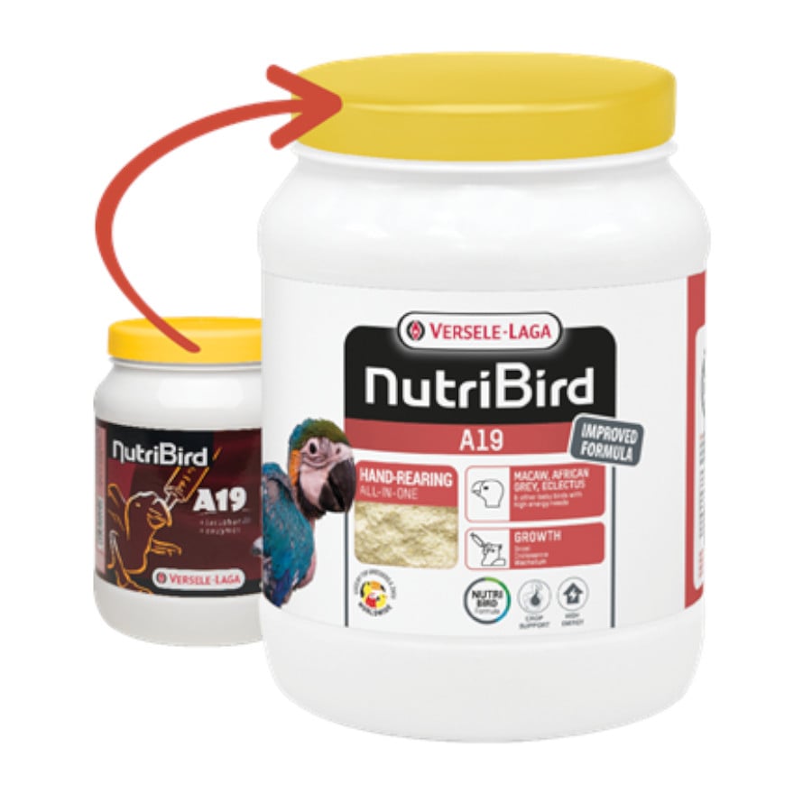 0.8 KG Versele-Laga NutriBird A19 Papilla para Cría de loros