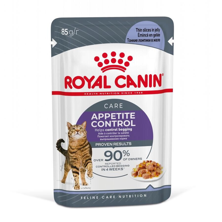 48 sobres x 85 g Royal Canin Nutrition Appetite Control Care gelatina para gatos ¡Pack ahorro!