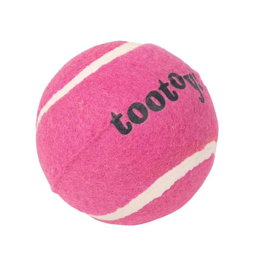 Tootoy! Chase Squeaker Ball Rosa pelota de tenis para perros