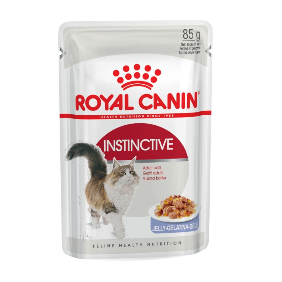 85 g Royal Canin Instinctive gelatina sobres para gatos