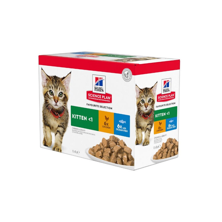 24 sobres x 85 g Hill's Science Plan Kitten Pollo y Pescado sobre para gatos  ¡Pack ahorro!