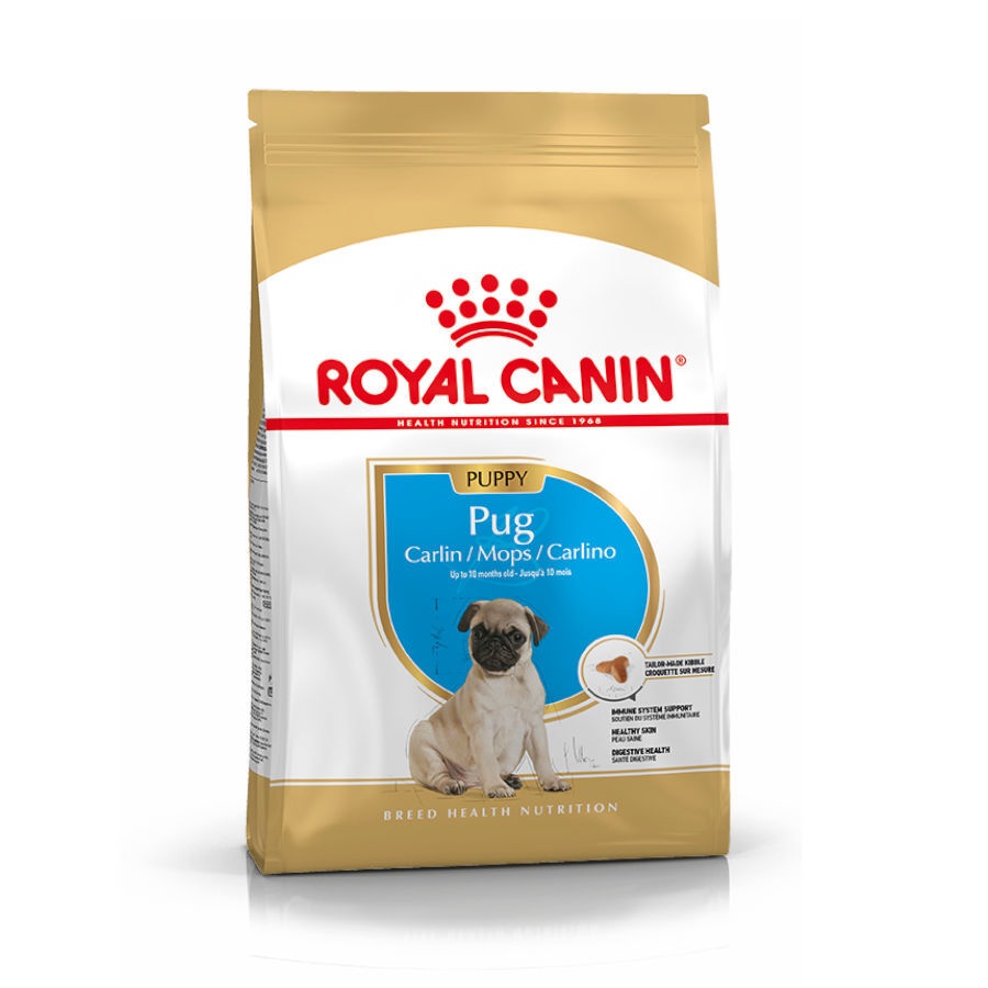 1.5 KG Royal Canin Puppy Pug pienso para perros