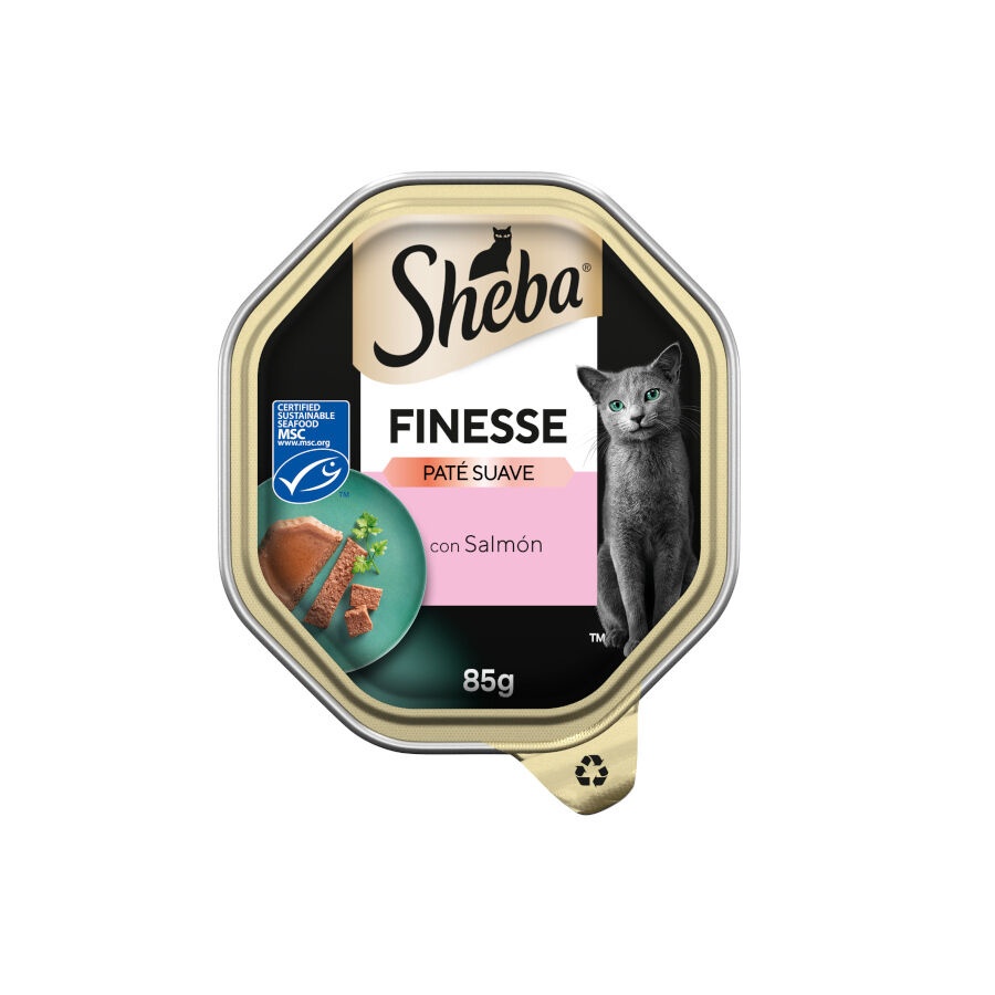 0.085 KG Sheba Finesse Salmón en Paté tarrina para gatos