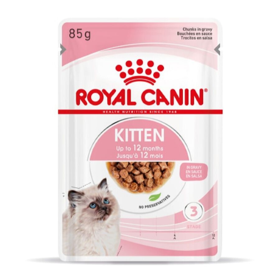 48 sobres x 85 g Royal Canin Kitten sobre en salsa para gatos ¡Pack ahorro!