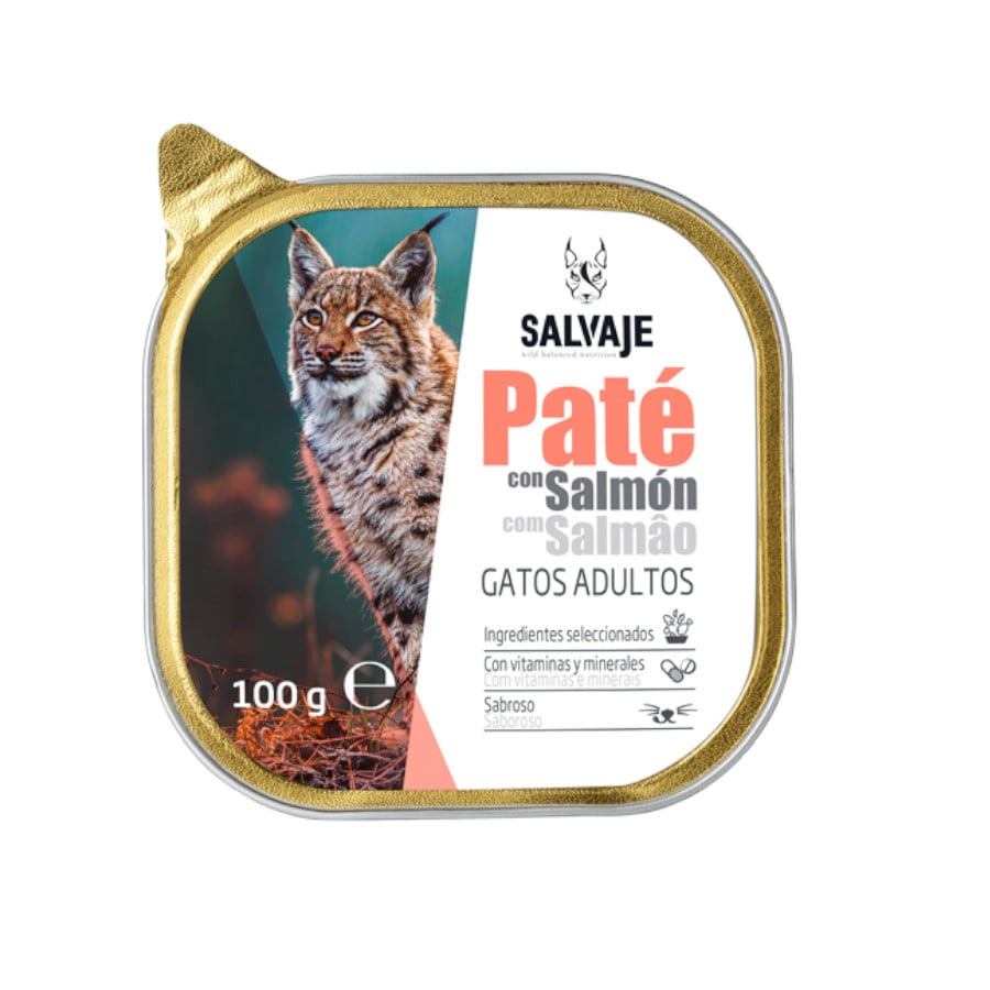 100 g Salvaje Adulto Salmón Paté en tarrina para gatos