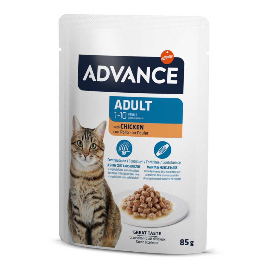 24 sobres x 85 g Advance Adult Bocaditos con Pollo en salsa sobre para gatos ¡Pack ahorro!