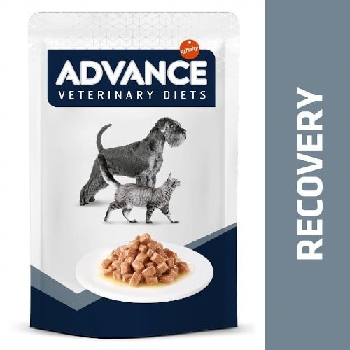 24 sobres x 100 g Advance Recovery Sobre para perros y gatos ¡Pack ahorro!