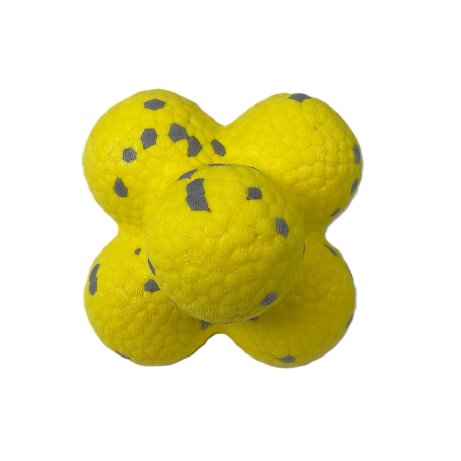 Tootoy! Chase Floating Balls pelota acuática para perros